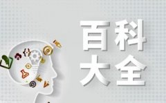 2022年股价下跌3294%